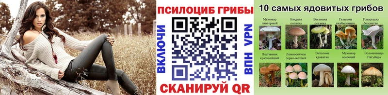 Псилоцибиновые грибы Magic Shrooms  это как зайти  Кстово 