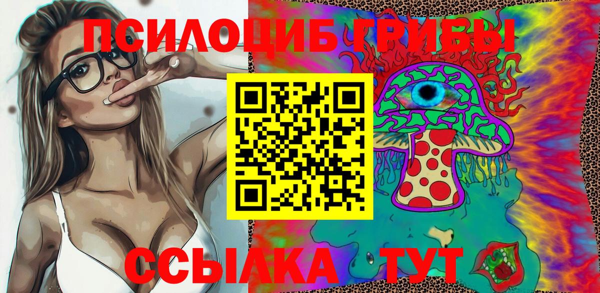 Кстово  Галлюциногенные грибы Psilocybe  Псилоцибиновые грибы Psilocybine cubensis  Вход с VPN 