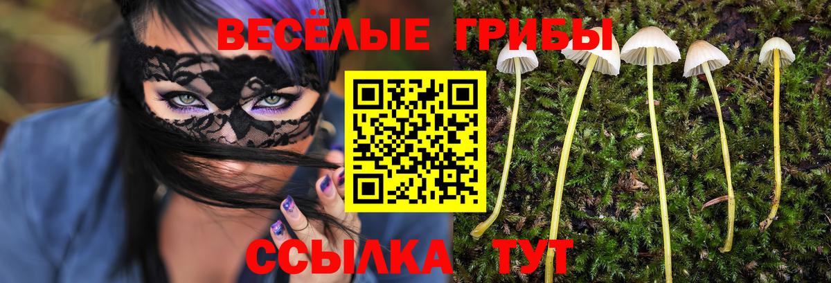 Псилоцибиновые грибы Magic Shrooms Кстово